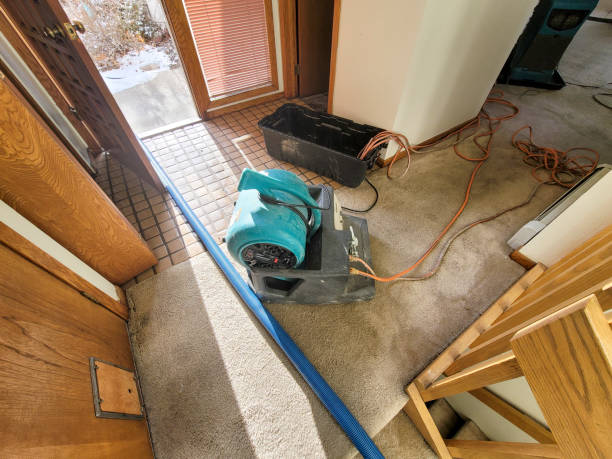Best Commercial water damage restoration  in Arcadia, FL