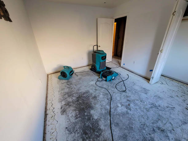 Best 24/7 water damage repair  in Arcadia, FL