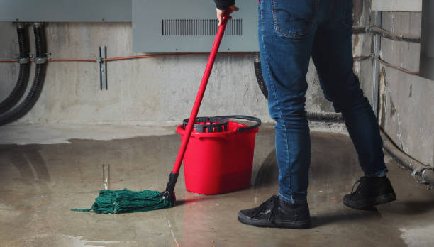 Best Sewage cleanup and water damage restoration  in Arcadia, FL