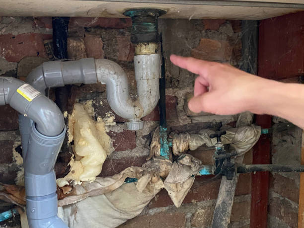 Best Carpet water damage restoration  in Arcadia, FL